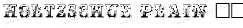 Holtzschue Plain字体转换